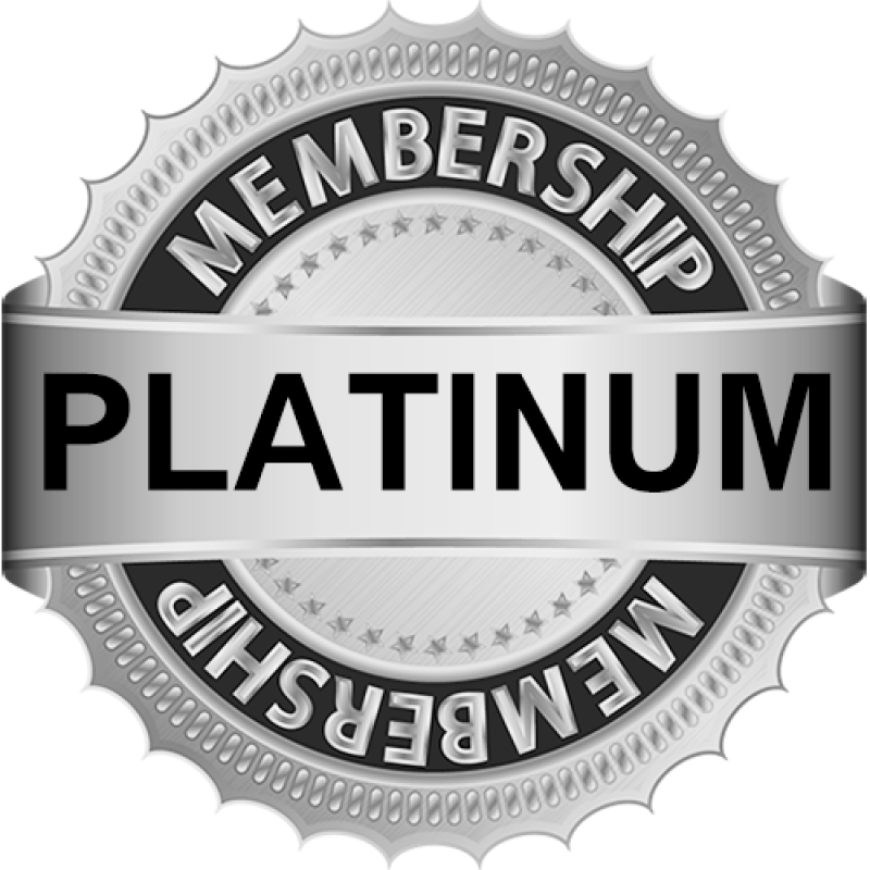 Платинум. Platinum логотип. Платинум картинка. Платина иконка. Platinum net