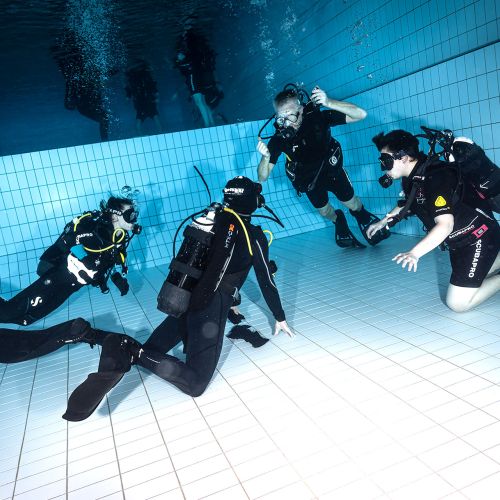 Flera dykare i en pool