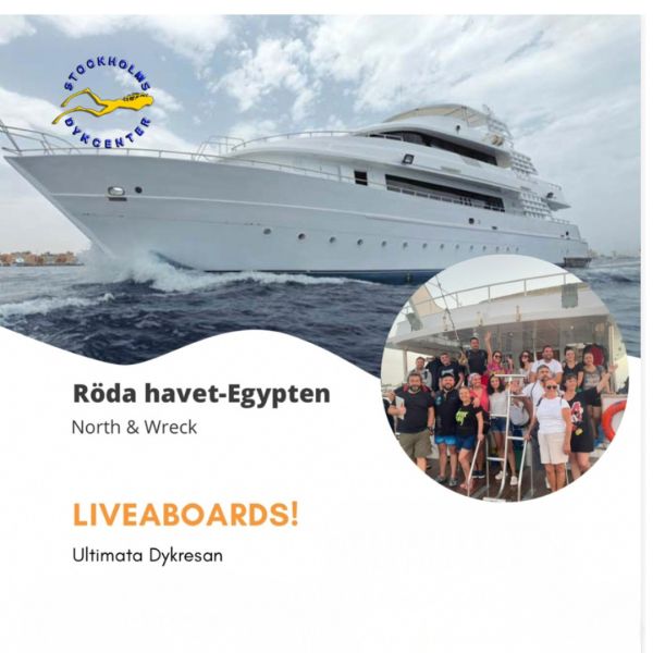 DYKRESA RÖDA HAVET LIVEABOARD